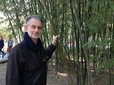 black-bamboo-garden